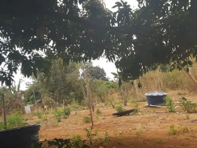 Imagem 3: Chácara 1 Hectare - Brazlândia