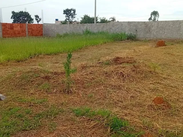 Imagem: Lote 300M² - 26 de Setembro