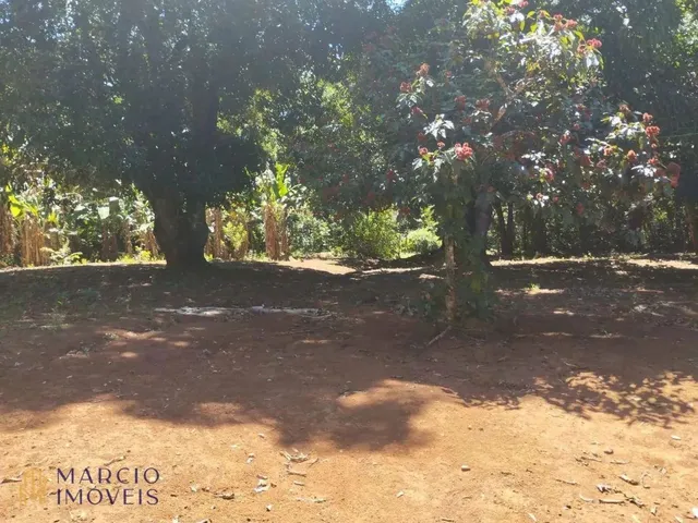 Imagem 6: Chácara com 3 Dormitórios À Venda, 10000 M² por R$ 290.000,00 - Zona Rural