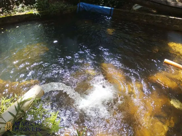 Imagem 13: Chácara com 3 Dormitórios À Venda, 10000 M² por R$ 290.000,00 - Zona Rural