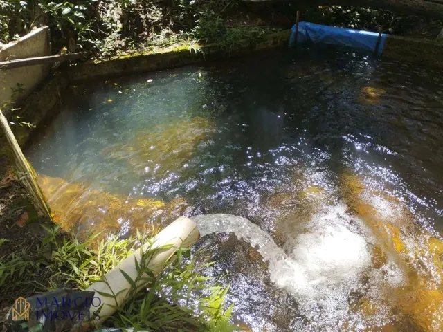 Imagem 2: Chácara com 3 Dormitórios À Venda, 10000 M² por R$ 290.000,00 - Zona Rural