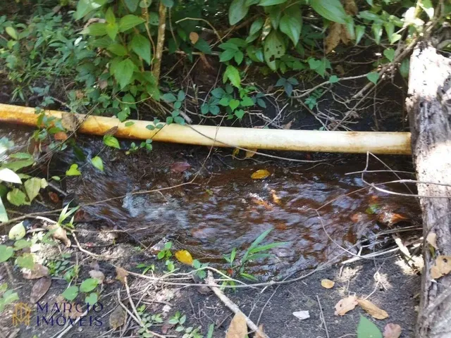 Imagem 4: Chácara com 3 Dormitórios À Venda, 10000 M² por R$ 290.000,00 - Zona Rural