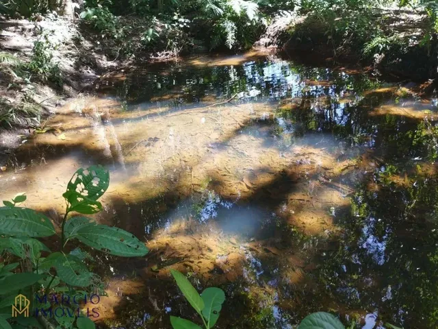 Imagem 16: Chácara com 3 Dormitórios À Venda, 10000 M² por R$ 290.000,00 - Zona Rural