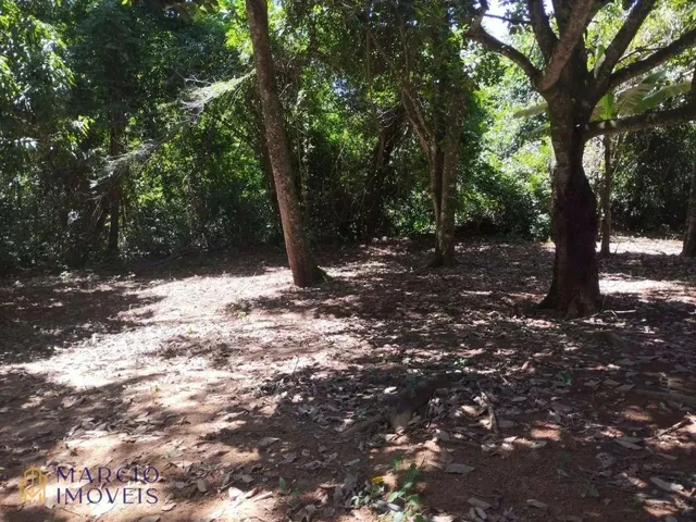 Imagem 12: Chácara com 3 Dormitórios À Venda, 10000 M² por R$ 290.000,00 - Zona Rural