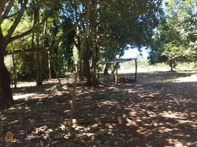Imagem 8: Chácara com 3 Dormitórios À Venda, 10000 M² por R$ 290.000,00 - Zona Rural