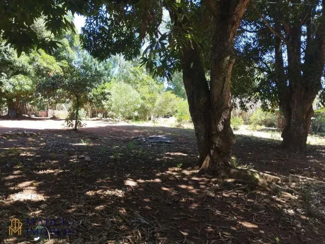 Imagem 10: Chácara com 3 Dormitórios À Venda, 10000 M² por R$ 290.000,00 - Zona Rural
