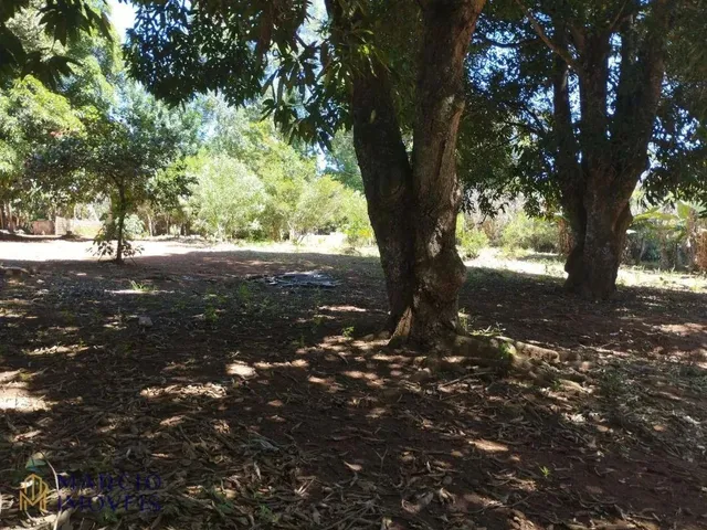 Imagem 5: Chácara com 3 Dormitórios À Venda, 10000 M² por R$ 290.000,00 - Zona Rural