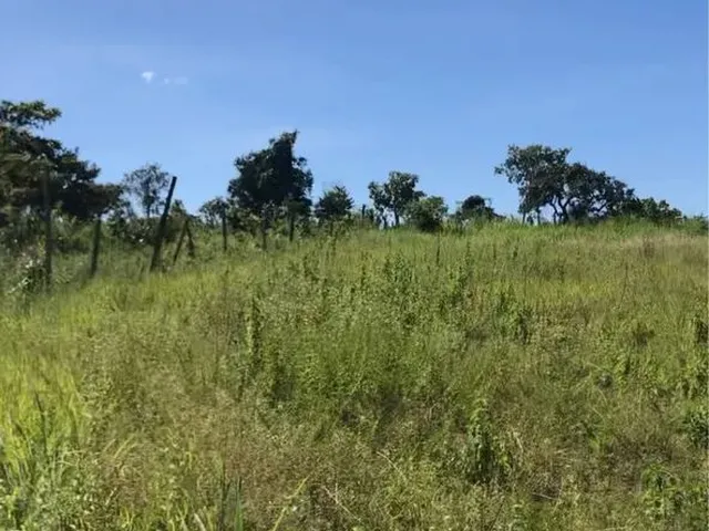 Imagem 4: Chácara 20 Mil M2 98.000,00 Rio