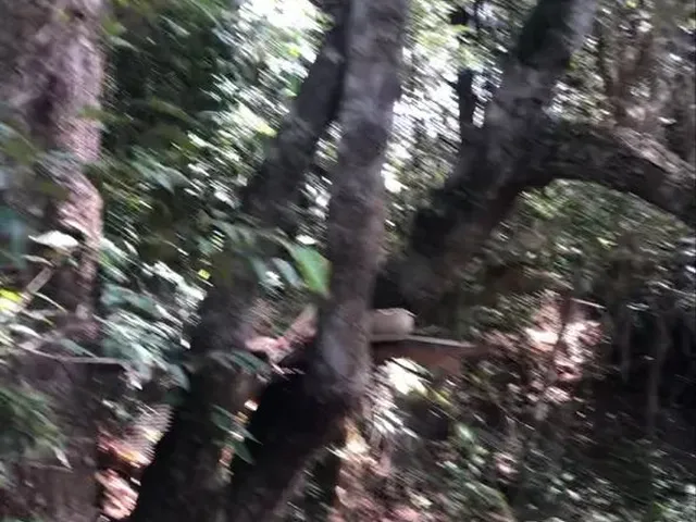 Imagem 5: Chácara 20 Mil M2 98.000,00 Rio