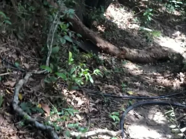 Imagem 9: Chácara 20 Mil M2 98.000,00 Rio