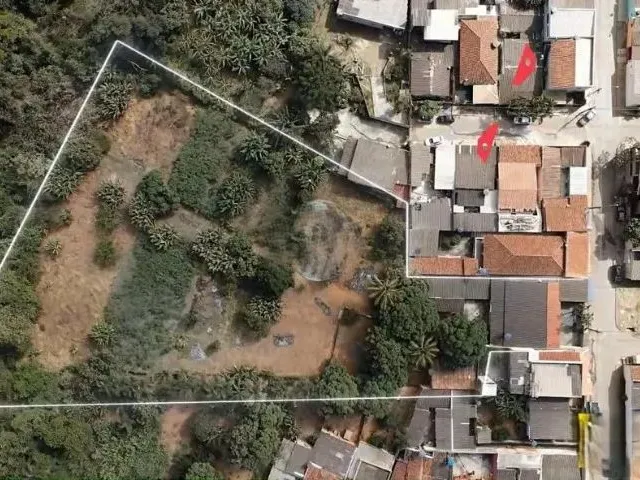 Imagem: Mini Chácara no Bairro São José, 11.000M²