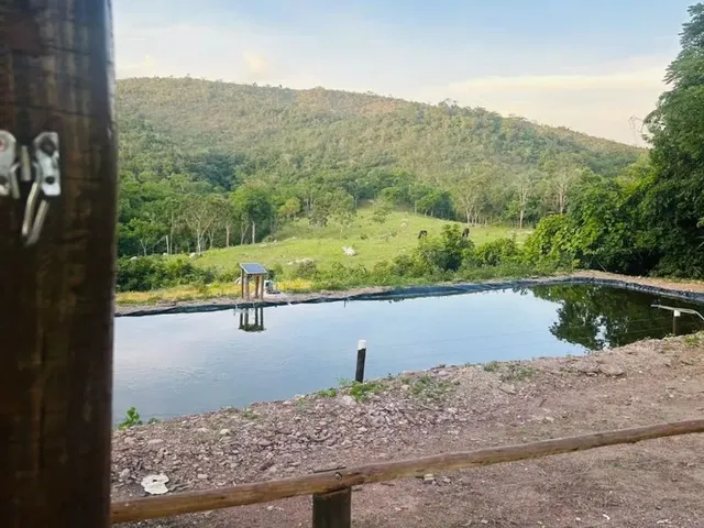 Imagem 5: Fazenda Modelo em Planaltina Goias