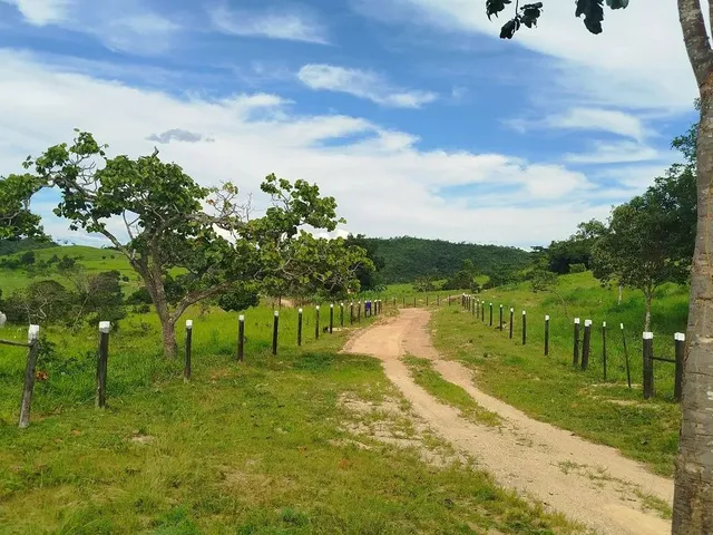Imagem 7: Fazenda Modelo em Planaltina Goias