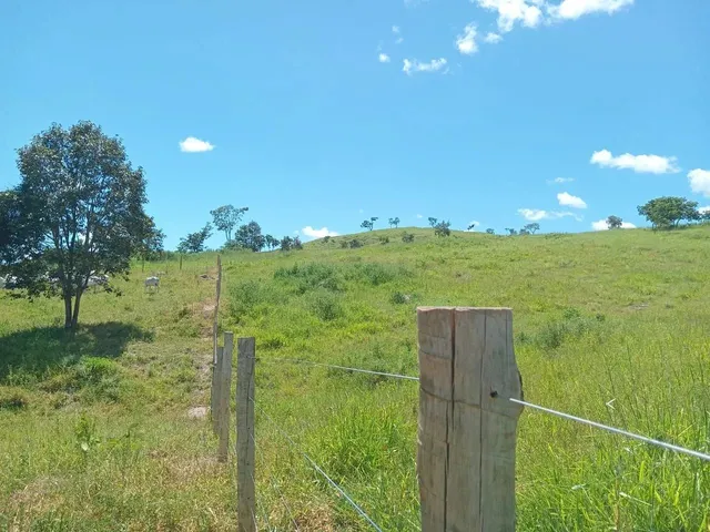 Imagem 10: Fazenda Modelo em Planaltina Goias