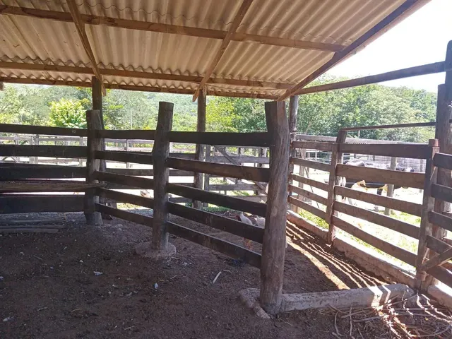Imagem 11: Fazenda Modelo em Planaltina Goias