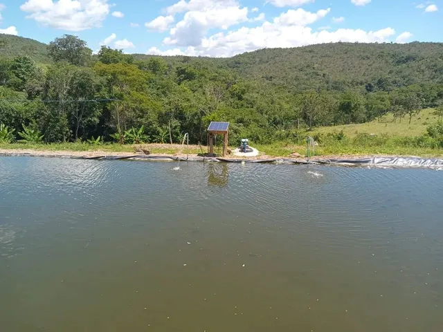 Imagem 14: Fazenda Modelo em Planaltina Goias