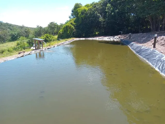 Imagem 15: Fazenda Modelo em Planaltina Goias