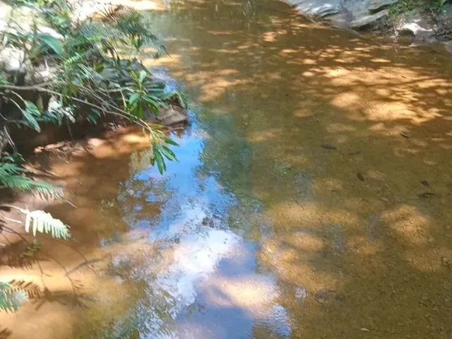Imagem 16: Fazenda Modelo em Planaltina Goias