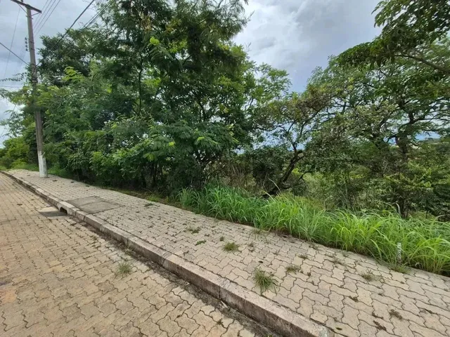 Imagem 1: Lote À Venda no Jardim Botânico