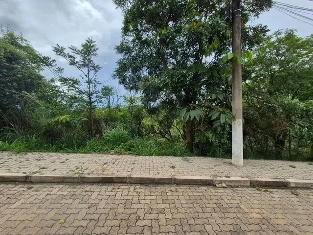 Imagem 2: Lote À Venda no Jardim Botânico