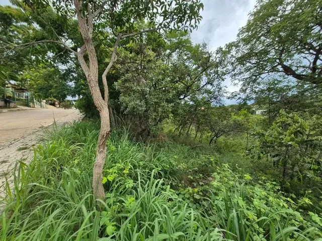 Imagem 3: Lote À Venda no Jardim Botânico
