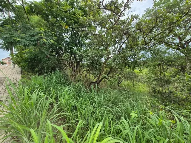 Imagem 4: Lote À Venda no Jardim Botânico