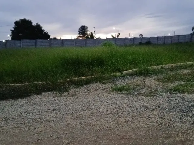 Imagem: Oportunidade Única Vendo Lote 400M² Rua