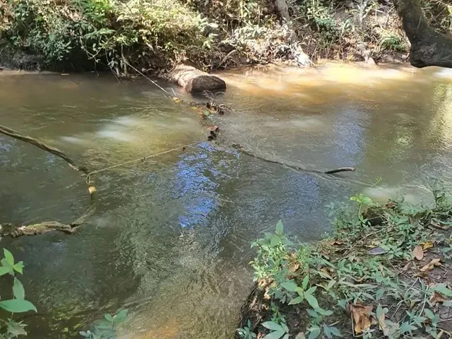 Imagem 13: Excelente Chácara de 2 Hectares no Pipiripau II - Df 345 Planaltina-Df
