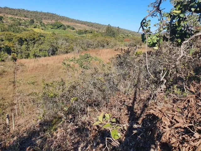 Imagem 6: Excelente Chácara de 2 Hectares no Pipiripau II - Df 345 Planaltina-Df