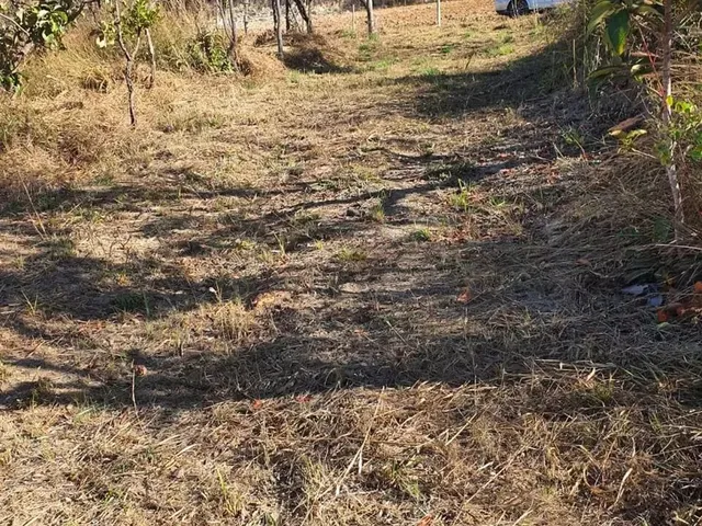 Imagem 14: Excelente Chácara de 2 Hectares no Pipiripau II - Df 345 Planaltina-Df