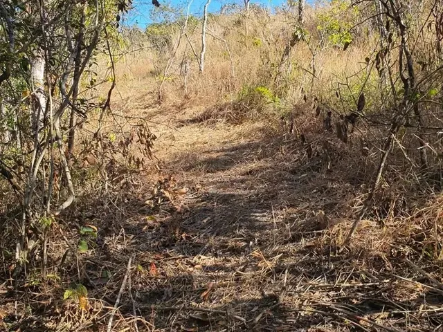 Imagem 7: Excelente Chácara de 2 Hectares no Pipiripau II - Df 345 Planaltina-Df