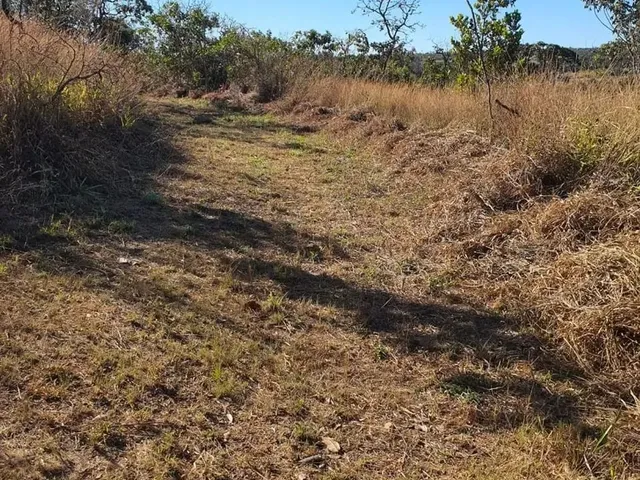 Imagem 10: Excelente Chácara de 2 Hectares no Pipiripau II - Df 345 Planaltina-Df