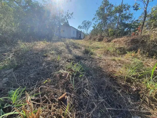 Imagem 8: Excelente Chácara de 2 Hectares no Pipiripau II - Df 345 Planaltina-Df