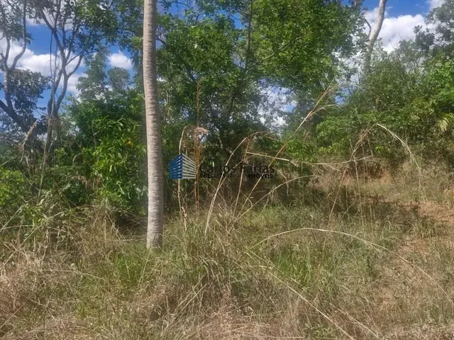 Imagem 9: Chácara para Venda em Brasília, Paranoa