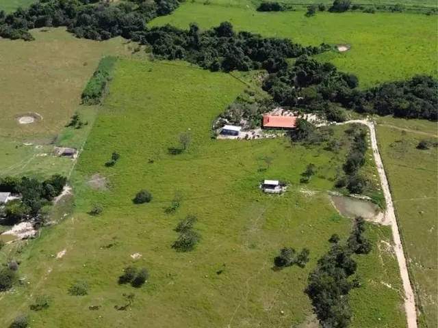 Imagem 4: Vendo Sítio com Cachoeira em Alexânia