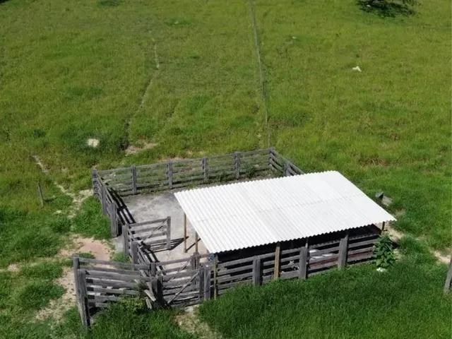 Imagem 12: Vendo Sítio com Cachoeira em Alexânia