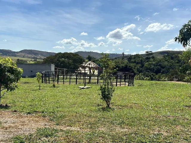 Imagem: Vendo Lindo Sítio em Girassol