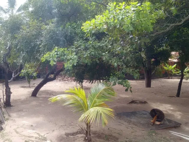 Imagem 2: Vendo Chácara no Povoado Areia Branca &Amp;Quot; Mosqueiro&Amp;Quot;