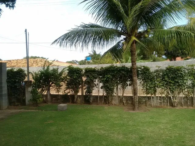 Imagem 3: Vendo Chácara no Povoado Areia Branca &Amp;Quot; Mosqueiro&Amp;Quot;