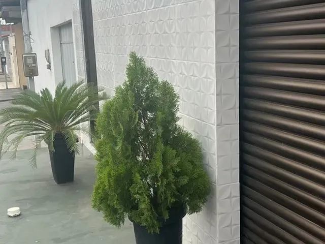 Imagem: 003-Casa no Parque Vitória