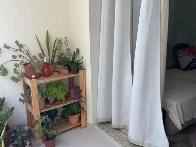 Imagem 11: Apartamento Mobiliado com 3 Quartos Pleno