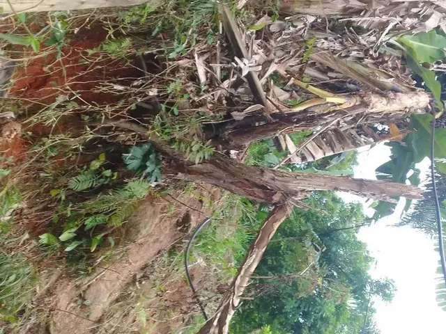 Imagem: Vende-Se Casa com Terreno Tem Escritura