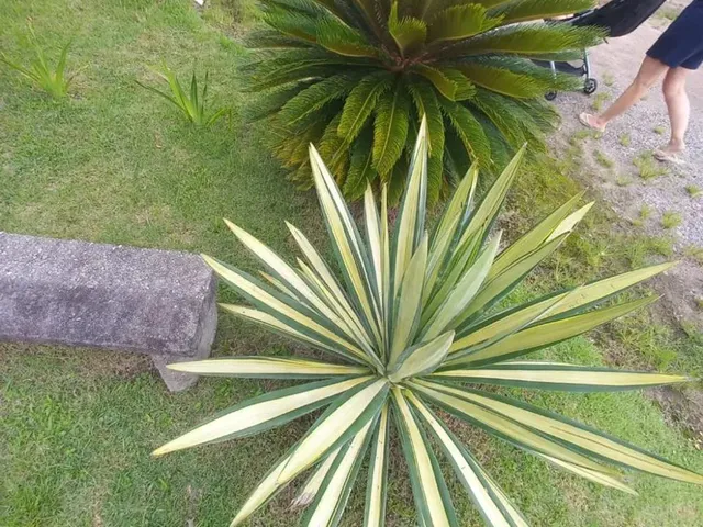 Imagem 4: Casa com Preço Abaixo de Mercado