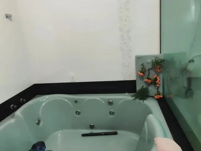 Imagem 10: Casa com Sala Comercial