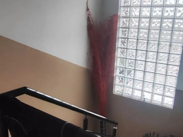 Imagem 3: Casa com Sala Comercial