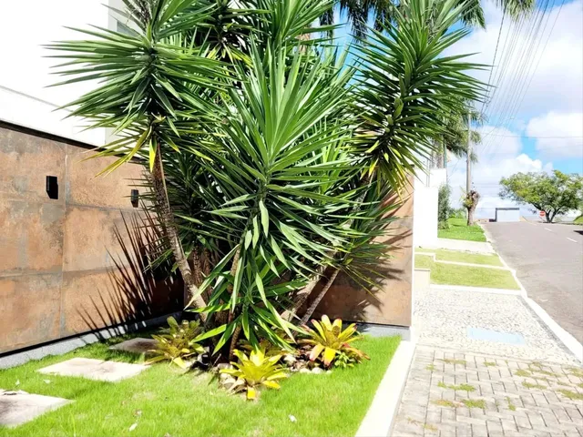 Imagem 4: Casa 4 Quartos - Nova Gramado