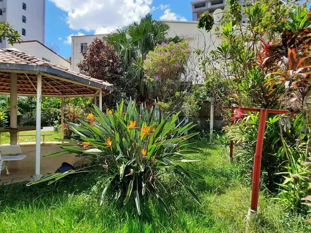 Imagem: Apartamento 4 Quartos - Centro