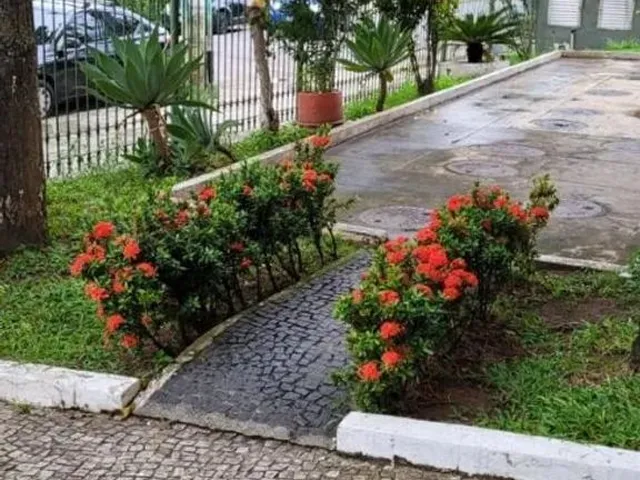 Imagem: Excelente Apto - Meier/Eng Dentro