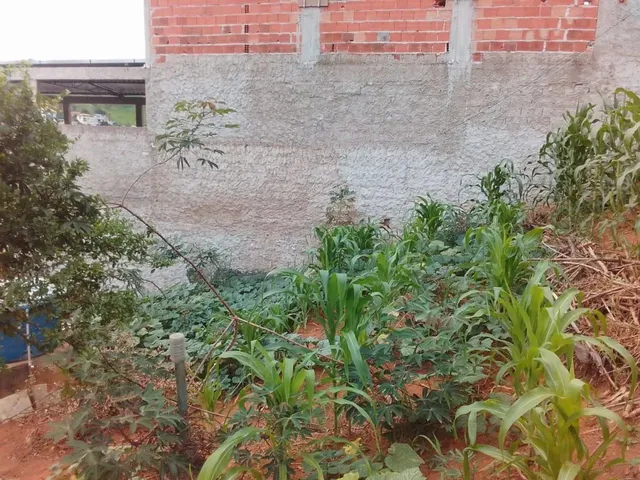 Imagem: Lote com Casa nos Fundos - B. Paulino Fernandes