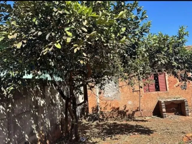 Imagem 3: Vende-Se Lote com Barracão em Trindade -Goiás